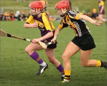  ??  ?? Sarah Harding-Kenny on the move for Wexford as Kilkenny’s Aoife Doyle gives chase.