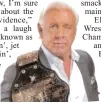  ??  ?? Ric Flair