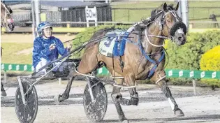  ?? PHOTO: SUPPLIED ?? Best foot forward . . . Trainer Mark Purdon hopes Spankem and driver Natalie Rasmussen make a good beginning in today’s New Zealand Cup.