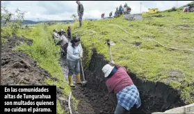  ?? Foto: Yadira Illescas / EXTRA ?? En las comunidade­s altas de Tungurahua son multados quienes no cuidan el páramo.