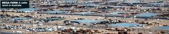  ?? ?? MEGA FARM: A cattle ranch in Australia