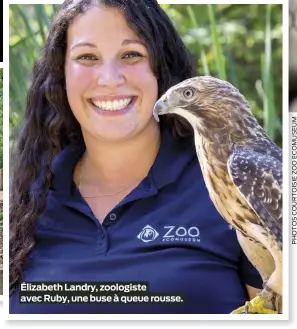  ??  ?? Élizabeth Landry, zoologiste avec Ruby, une buse à queue rousse.