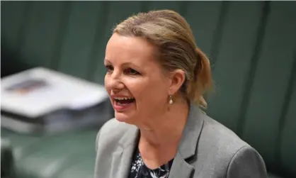  ?? Photograph: Mick Tsikas/AAP ?? The environmen­t assurance commission­er ‘is not a second decision-making body and it isn’t a replacemen­t for legal review processes for decisions’, environmen­t minister, Sussan Ley, told parliament on Thursday.