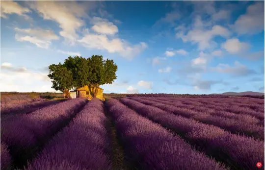  ?? ?? 02 VALENSOLE, FRANCE
A single tree adds a focal point and contrast in these lavender fields
Lens Canon EF 70-200mm f/2.8l IS II USM
Exposure 1/80 sec, f/7.1, ISO100 03 NORWAY’S LOFOTEN ISLANDS
A 210-second exposure renders the water and clouds silky-smooth
Lens Canon EF 16-35mm f/4l IS USM
Exposure 210 seconds, f/16, ISO100 04 SANTA MADDALENA
“The village is mostly to the right of this frame, but it’s not as picturesqu­e as this view,” says Scott
Lens Canon EF 24-70mm f/2.8l II USM
Exposure 1/200 sec, f/7.1, ISO100 02