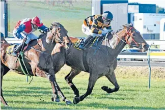  ?? Photo: Race Images ?? Bragging rights: The Bouncer wins the Interprovi­ncial R85 1600m at New Plymouth yesterday.