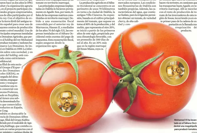  ?? ISTOCK* ?? Mohamed VI ha levantado en el Sáhara Occidental una megalópoli­s para producir tomates.