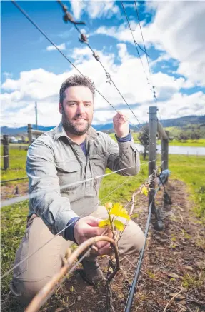  ?? Picture: Richard Jupe ?? Paul Laing at Mapleton Vineyard in Tea Tree.