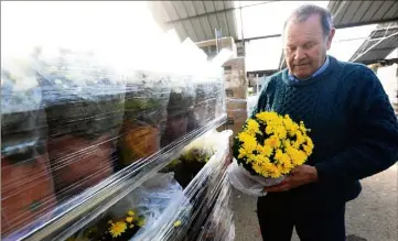  ?? (Photos Frank Muller) ?? La perte liée aux décommande­s de chrysanthè­mes est estimée aux alentours « de   euros », selon Tanneguy de Valbray.