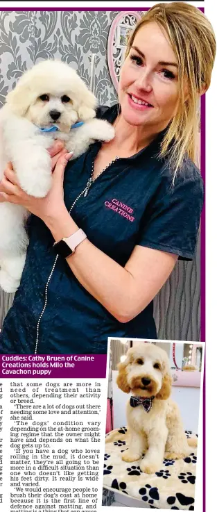  ??  ?? Cuddles: Cathy Bruen of Canine Creations holds Milo the Cavachon puppy
Take a bow: Rua the Cockapoo who visited Canine Creations