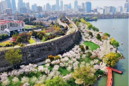  ?? Cnsphoto ?? Muralla de la dinastía Ming al lado del lago Xuanwu, ciudad de Nanjing.