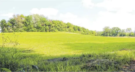  ?? FOTO: SIMON NILL ?? Auf diesem Areal bei den Herlazhofe­r Tennisplät­zen soll der Bikepark gebaut werden. Auf dem Bild ist die Erhöhung sowie die Feldhecke zu erkennen.