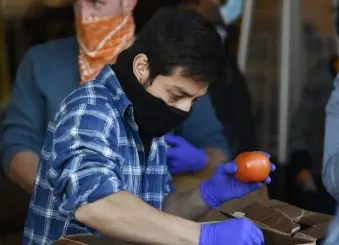  ?? Andy Cross, The Denver Post ?? Roberto Meza, co-owner of Emerald Gardens Microgreen­s, takes out fresh tomatoes to be sold at the Lost City Market on Oct. 28, 2020. Meza formed the East Denver Food Hub, which sells produce to people in need who pay only what they can afford.