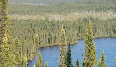  ?? POSTMEDIA NEWS ?? Environmen­talists are seeking legislatio­n to protect more of the boreal forest, such as this swath in northern Quebec.