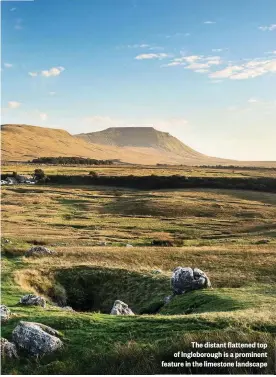  ??  ?? The distant flattened top of Ingleborou­gh is a prominent feature in the limestone landscape