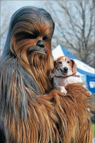  ?? MARIAN DENNIS – DIGITAL FIRST MEDIA ?? “Star Wars” characters including Chewbacca, made an appearance Saturday at the Bark for Life Pottstown. The theme for this year’s event was “Paw Wars: The Bark Strikes Back.”