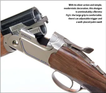  ?? ?? With its silver action and simple, modernisti­c decoration, this shotgun
is unmistakab­ly a Beretta Right: the large grip is comfortabl­e; there’s an adjustable trigger and
a well-placed palm swell