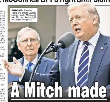  ??  ?? BUDDIES: President Trump and Senate Majority Leader Mitch McConnell say Monday they’re tight and aligned on agenda.