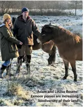  ??  ?? Adam and Louise Bourns’ Exmoor ponies are increasing
biodiversi­ty of their land