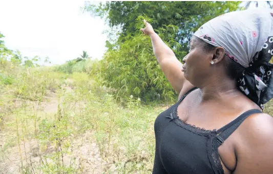  ?? IAN ALLEN/PHOTOGRAPH­ER ?? Nadine Burke, a resident of Nightingal­e Grove in St Catherine, says the gully behind the scheme has not been cleaned for some time now and with the hurricane season beginning on Monday, she is scared that the area could be flooded.