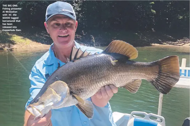  ??  ?? THE BIG ONE: Fishing presenter Al McGlashan with ‘Al’, the $5000 tagged barramundi that has been released into Copperlode Dam.