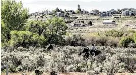  ?? JENNIFER KING Tri-city Herald file ?? The epicenter of a Tri-cities earthquake on April 19 was just across the Yakima River from the Chamna Natural Preserve in Richland.