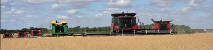  ?? Photos by Matthew Liebenberg ?? Eight combines participat­ed in the harvesting of a canola crop that will benefit Rock Solid Refuge, Aug. 31.