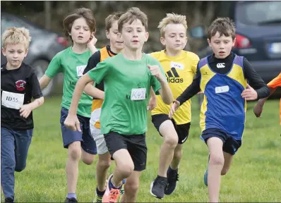  ??  ?? The start of the under-10s race at the Wicklow Even Ages Cross Country Championsh­ips in Roundwood.