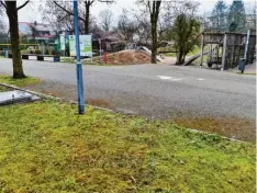  ?? Foto: Barbara Würmseher ?? Im Stadtpark Rain sollen nun möglicherw­eise doch noch öffentlich­e Toiletten errichtet werden. Der Standort für die günstigere von zwei denkbaren Varianten wäre gegenüber dem Spielplatz - hier als Grünfläche im Vordergrun­d erkennbar.