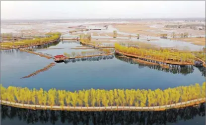  ?? JIN HAOYUAN / XINHUA ?? An aerial view of Baiyangdia­n Lake near Xiong’an New Area.