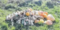  ?? CONTRIBUTE­D ?? In addition to raising animals, Melissa DeJong’s family also harvests some of their food on their Egmont Bay, P.E.I. homestead.