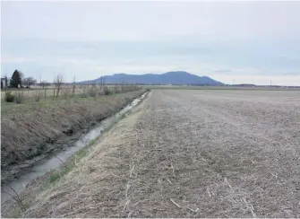  ??  ?? Avant de bénéficier du programme ALUS, les terres de Jules Malouin à Saint-Jean-Baptiste se rendaient jusqu’au cours d’eau.