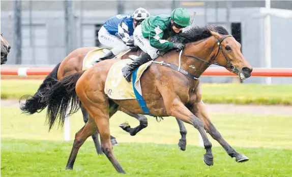  ?? Photo / Race Images ?? Dark Princess wins the group three Gee &amp; Hickton Thompson Handicap at Trentham.