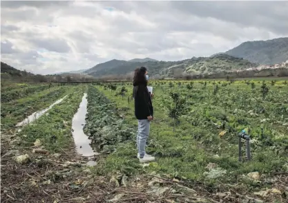  ??  ?? Para além dos prejuízos, há danos nos sistemas de regadio, contentore­s, maquinaria agrícola e material de logística.