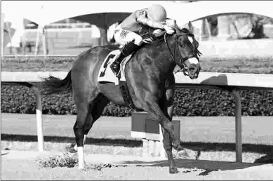  ?? COADY PHOTOGRAPH­Y ?? Blame J D wins an Arkansas-bred maiden race from gate to wire on March 7 at Oaklawn Park.