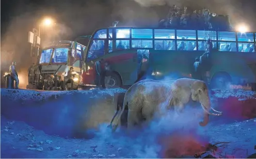 ?? NICK BRANDT PHOTOS ?? “Bus Station With Elephant in Dust,” 2019, by Nick Brandt will be among the images on display at the Museum of Photograph­ic Arts.