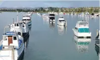  ??  ?? Boats on the Whau River.