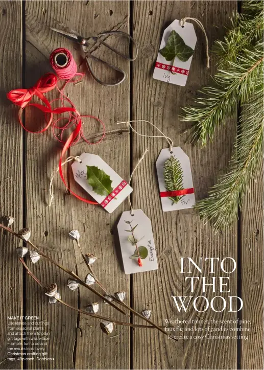  ??  ?? MAKE IT GREENUse leaves and cuttings from seasonal plants and attach them to plain gift tags with washi tape – simple, fun to do and the results look lovely. Christmas crafting gift tags, 49p each, Dobbies