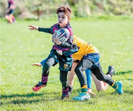  ?? ?? More than 600 players from a range of local teams including Maidenhead, Henley, Windsor and Reading Rams took part in the minis rugby festival at Braywick Park. All photos by Abi Hancock.