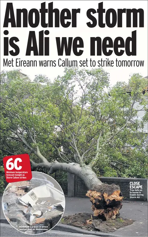  ??  ?? HORROR CLOSE ESCAPE Tree falls on to house in Dublin during Storm Ali