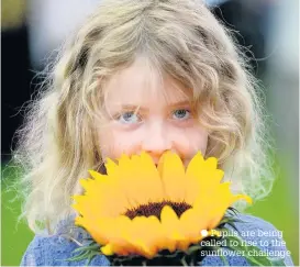  ??  ?? Pupils are being called to rise to the sunflower challenge