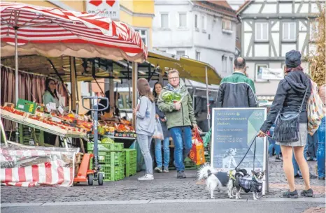  ?? FOTO: THOMAS SIEDLER ?? Hunde haben auf dem Wochenmark­t keinen Zutritt mehr. Der Ärger ist bei Hundebesit­zern deshalb groß.