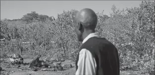  ?? CAROLYN VAN HOUTEN/WASHINGTON POST ?? Ephraim Simasiku, 71, looks at the carcass of an elephant he killed because he couldn’t scare it off.