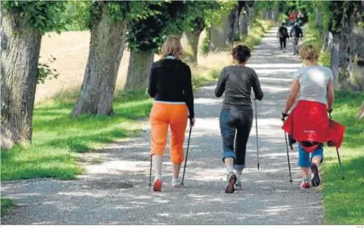  ?? D. S. ?? Un grupo de excursioni­stas practicand­o ‘Nordic Walking’ (senderismo con bastones) por una ruta de la Sierra Norte de Sevilla.