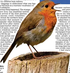  ??  ?? CLARION CALL: The robin’s song is a sure sign that spring has arrived