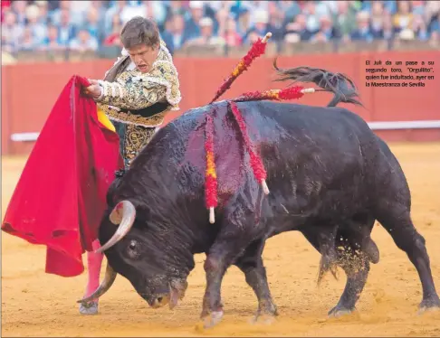  ??  ?? El Juli da un pase a su segundo toro, “Orgullito”, quien fue indultado, ayer en la Maestranza de Sevilla