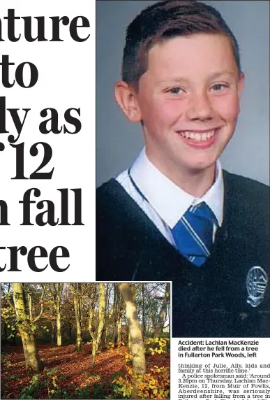  ??  ?? Accident: Lachlan MacKenzie died after he fell from a tree in Fullarton Park Woods, left