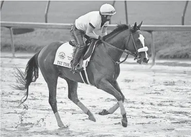  ?? JAMIE RHODES/ USA TODAY SPORTS ?? An exercise rider works Kentucky Derby entry Tiz the Law at Churchill Downs.