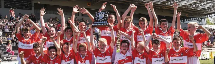  ??  ?? The Fethard boys celebrate after beating near neighbours Horeswood by 0-9 to 0-3 in Nowlan Park on Sunday to capture the Division 5 hurling Cup.