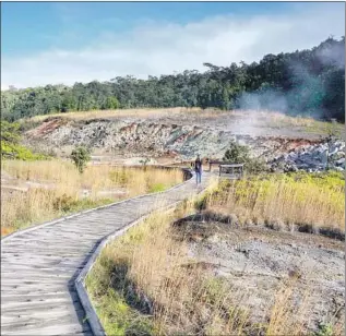  ?? Photograph­s by Christine Hitt ?? THIS BOARDWALK is part of the Sulphur Banks Trail, near the visitors center at Hawaii Volcanoes National Park. The trail had been closed because of the eruption but reopened.