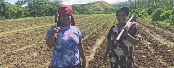  ?? Photo: Charles Chambers ?? Mere Tura (left) at her farm at farm at Vunarewa in the Sigatoka Valley, With her is fellow tobacco farmer Taina Waqadrau on June 3, 2020.